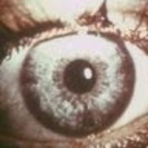 Meet your Posher, Simon